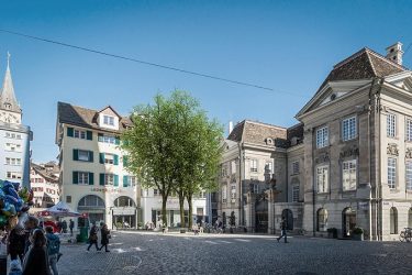 Drei Linden und eine Bank für den Münsterhof