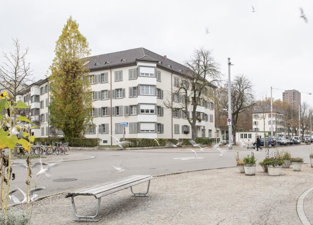 Ansicht der renovierten Wohnsiedlung Bullingerhof in Zürich. (Foto: Till Forrer/Hochbaudepartement Stadt Zürich)